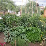 Σπίτι διακοπών Petra Ποτός