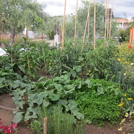 度假居 Petra 波托什