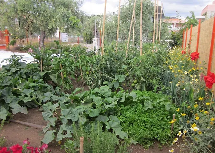 بيت للعطل Petra Houses بوتوس